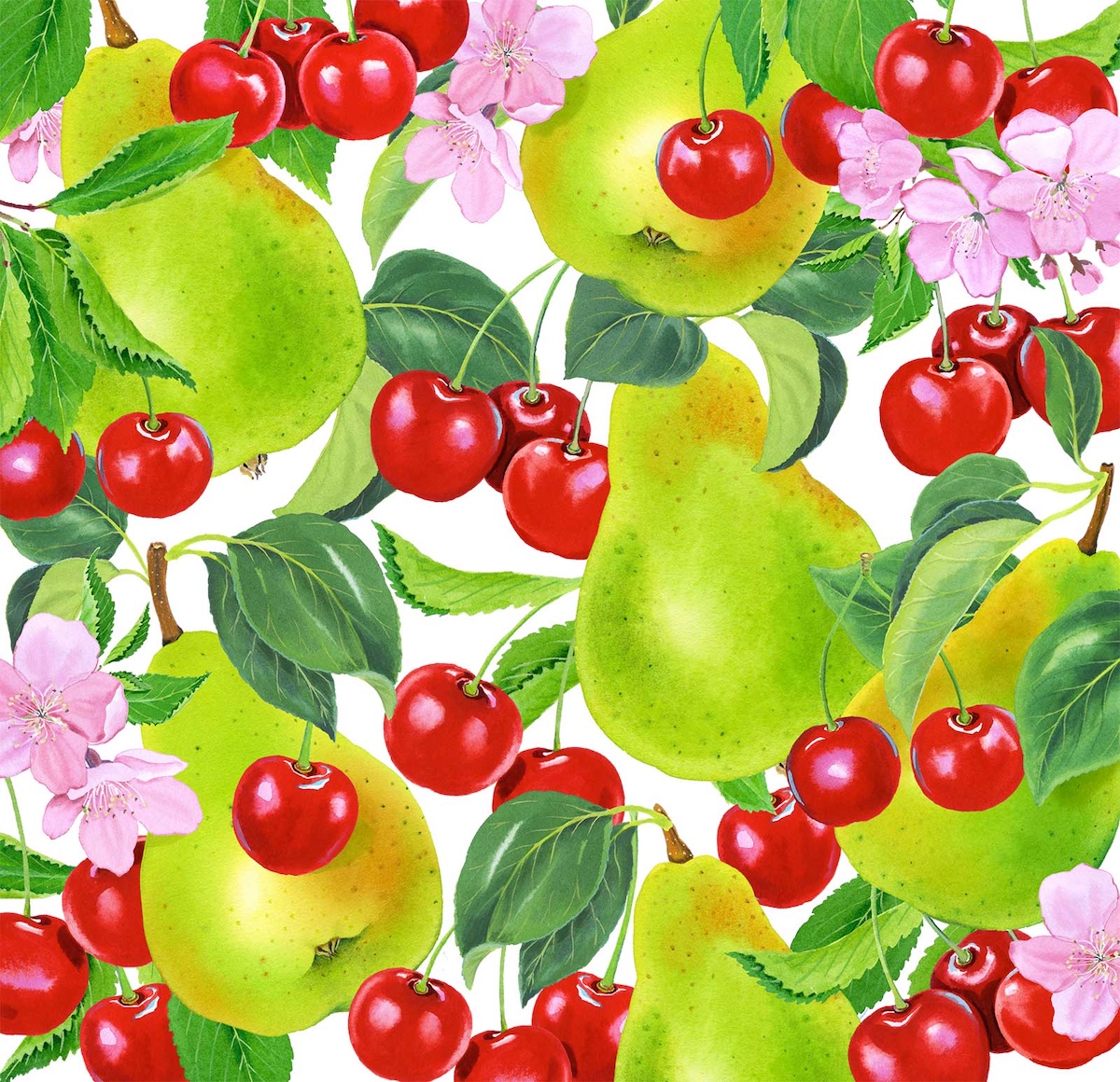 mary-woodin-roma-pckg-Cherry-pear-art-update
