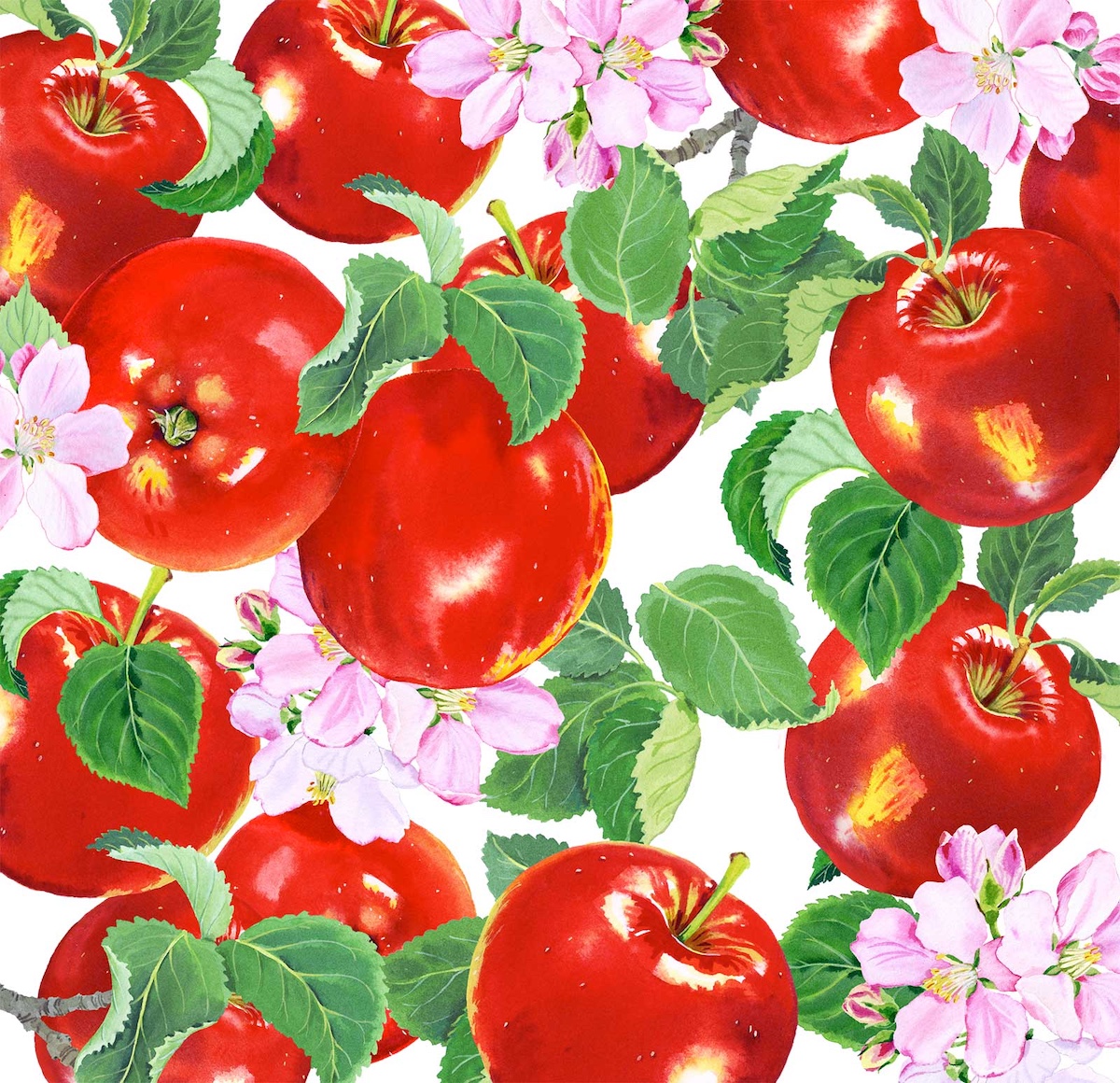 mary-woodin-roma-pckg-apple-artwork
