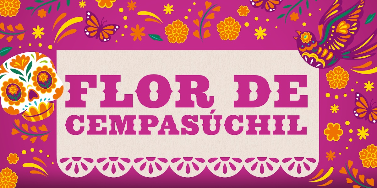 Luis-Pinto-Airwick-banner_cempasuchil copy